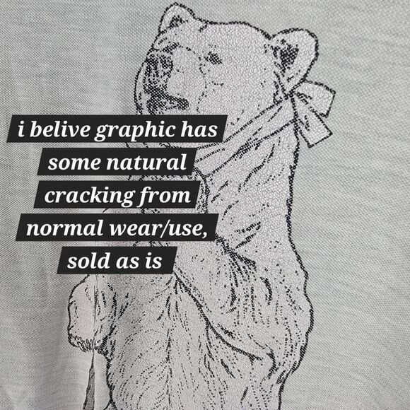 Go Slow Caravan Bear Watermelon Japan Streetwear Bear Gray T Shirt Men's Sz 5 M - Picture 5 of 12